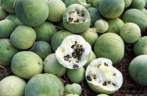 全球吃瓜俱乐部官网,揭秘网络热点的幕后故事