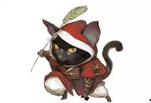 前线吃瓜第一人抖音网红,揭秘抖音网红幕后故事